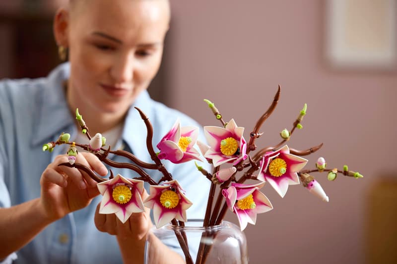 11510   LEGO Botanicals  Rametti di magnolia