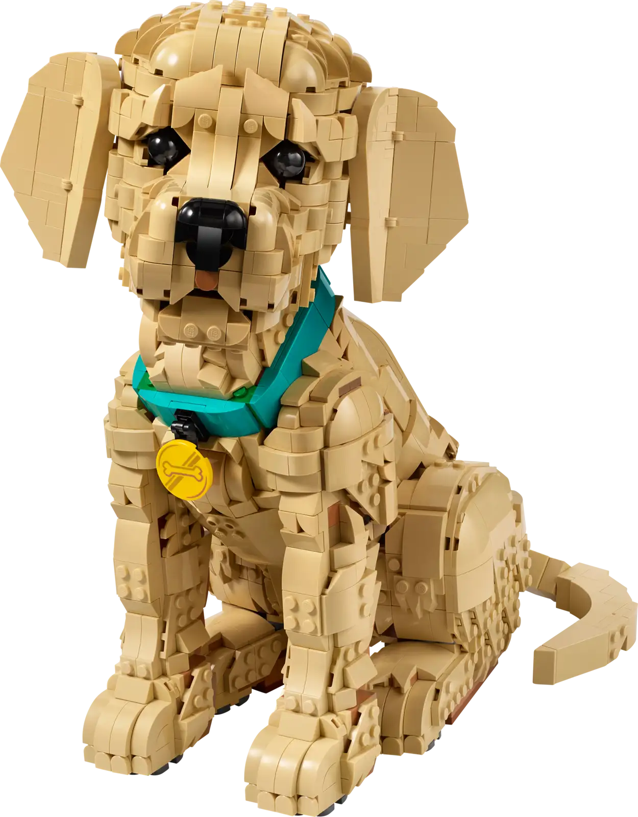 11384 LEGO® Icons  Cucciolo di Golden Retriever