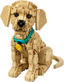 11384 LEGO® Icons  Cucciolo di Golden Retriever