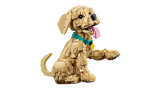 11384 LEGO® Icons  Cucciolo di Golden Retriever