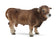 products/79583255_4014986680.jpg
