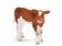 products/79583276_2072095303.jpg