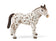 products/79583488_5878974775.jpg