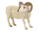 products/80158252_3421727868.jpg