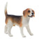 products/magBMaxRosatiWebeGraphicDesignsncdiMassimili_29108-124300-65424.jpg