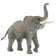 products/magBMaxRosatiWebeGraphicDesignsncdiMassimili_29146-124263-Elefante-Africano.jpg